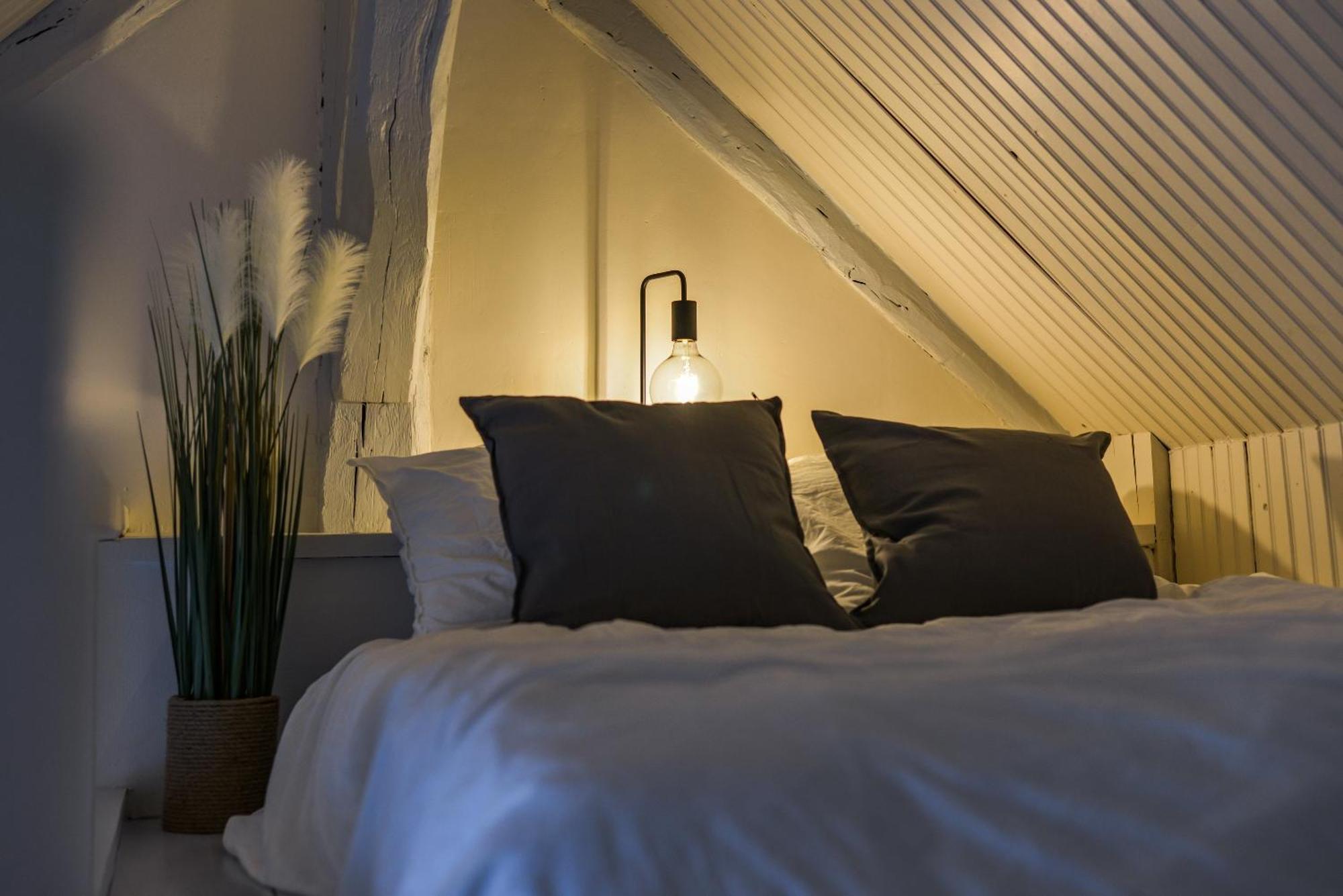 Le Saint-Martin - Hypercentre - Netflix Appartement Tours Buitenkant foto